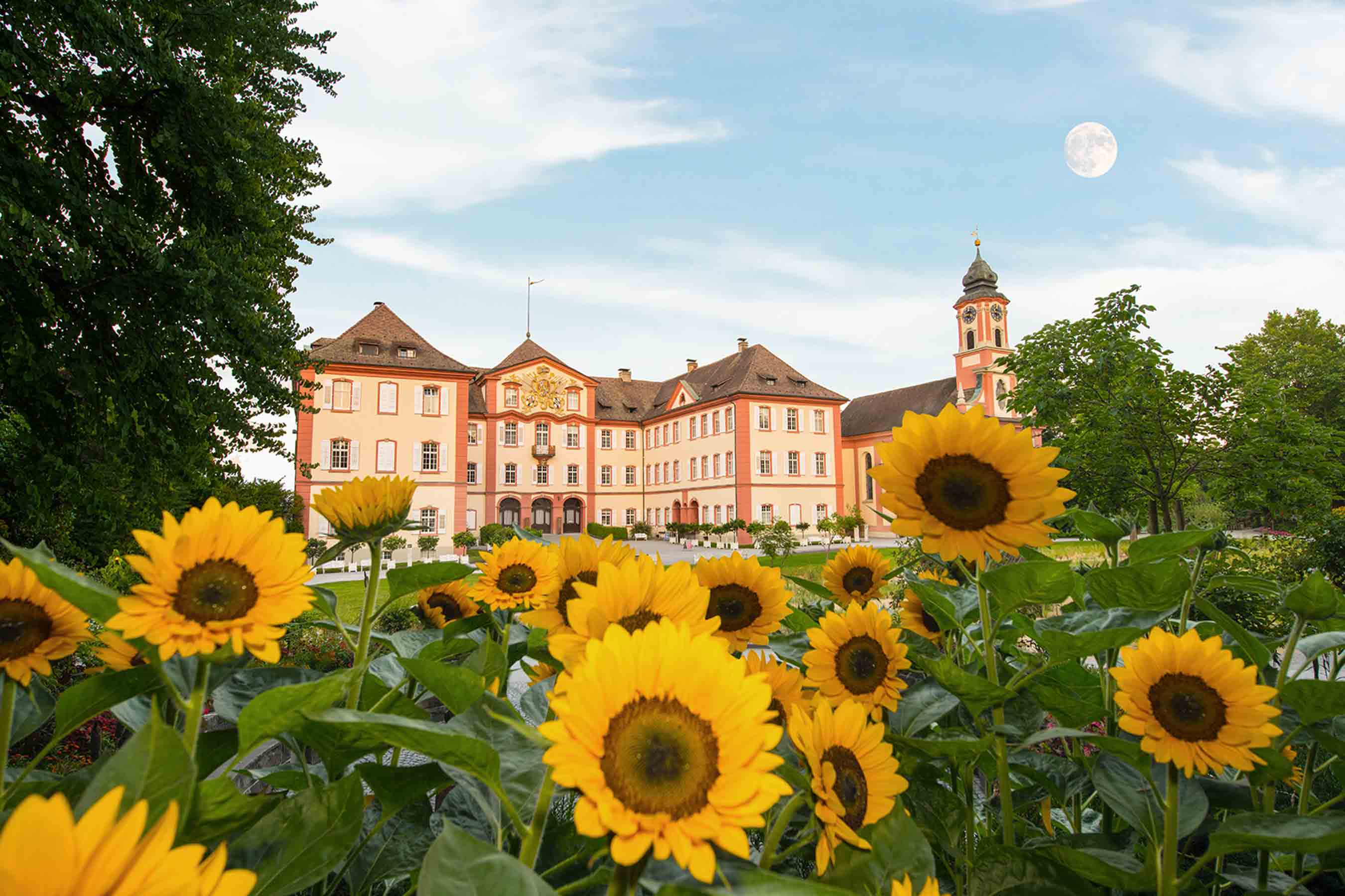 Sonderfahrten Sommer